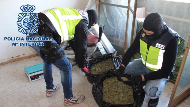 Operación de más de 70 policías de élite contra el tráfico de marihuana en Granada