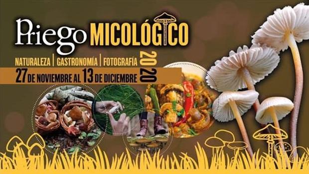 Ruta de tapas micológicas en Priego de Córdoba