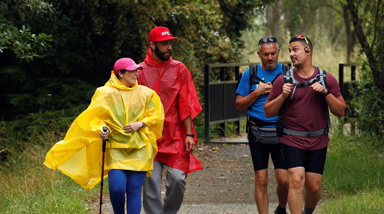 Camino de Santiago en 2020