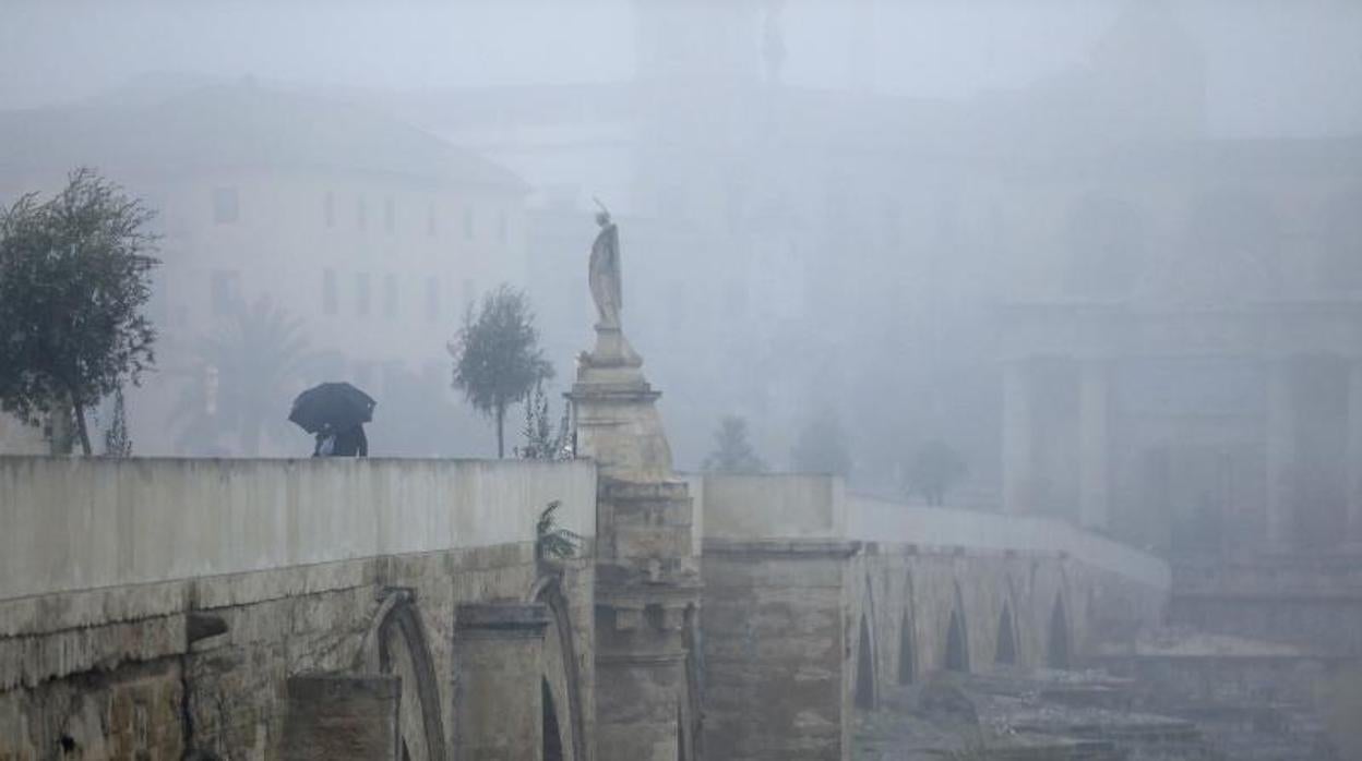 Jornada de lluvia y niebla en Córdoba el pasado día 10 de diciembre