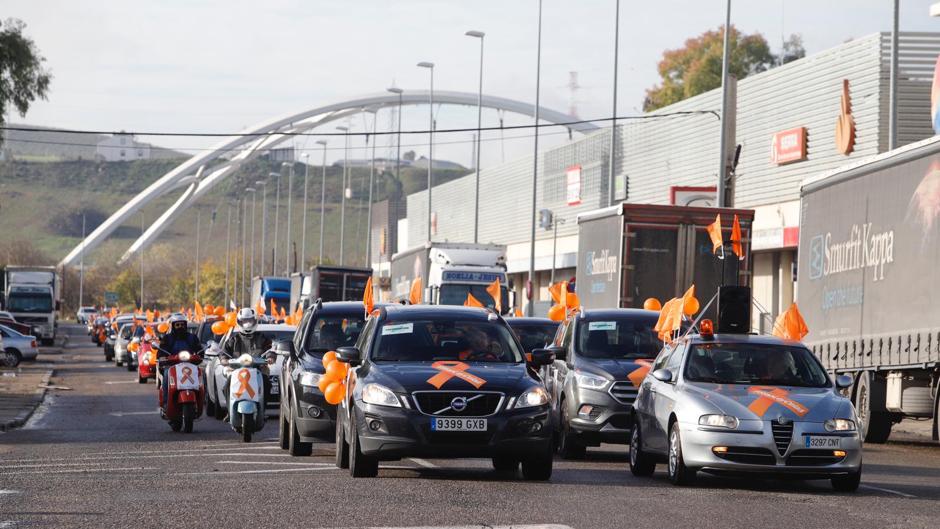 Manifestación | Cientos de familias claman en las calles de Córdoba contra la Ley Celaá