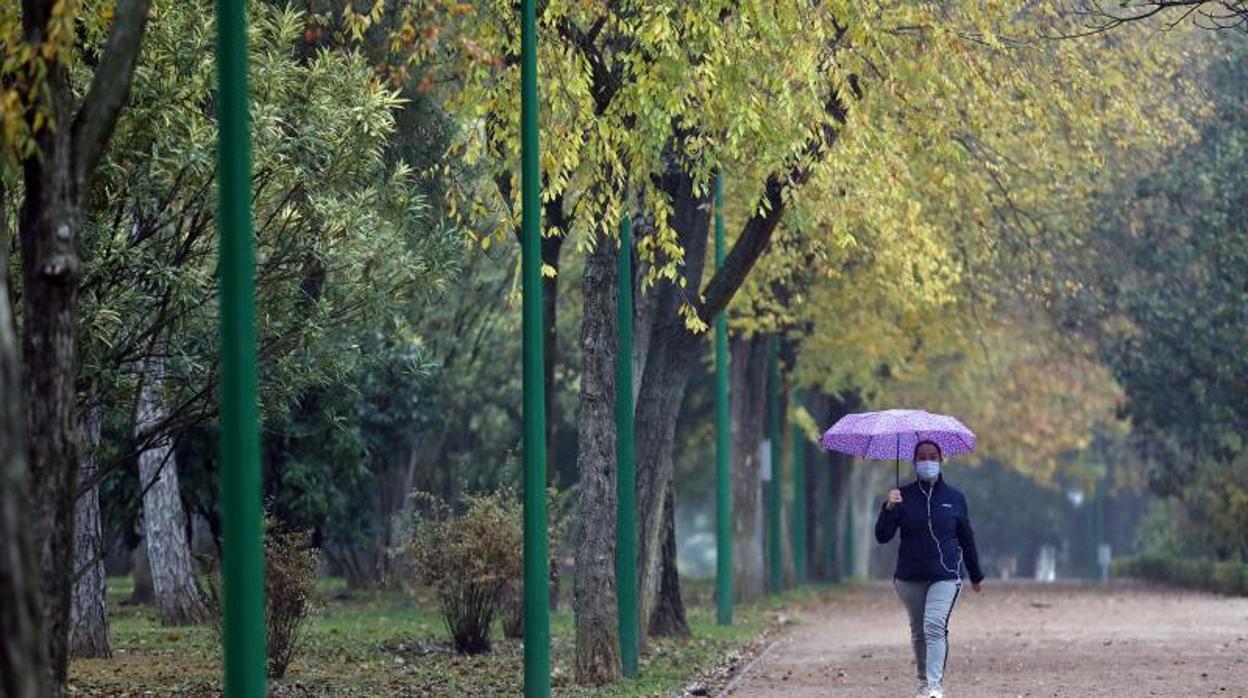 Una mujer pasea por el Parque Cruz Conde en una mañana lluviosa de diciembre de este año