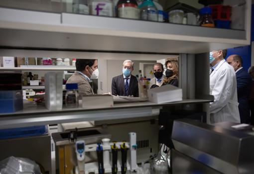 Un momento de la visita del consejero Rogelio Velasco al Instituto de Biomedicina de Sevilla