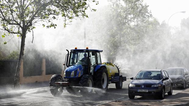 El agro de Córdoba en 2020: una «mala cosecha» por los bajos precios y el Covid