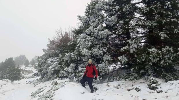 «Filomena» tiñe de blanco la Sierra de las Nieves de Málaga