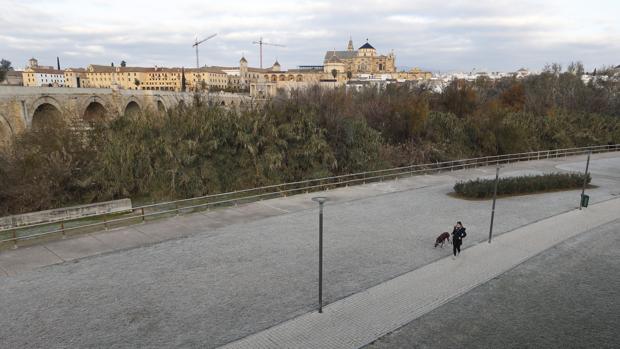 Borrasca Filomena | Las mínimas retrocederán hasta los dos grados en Córdoba este sábado