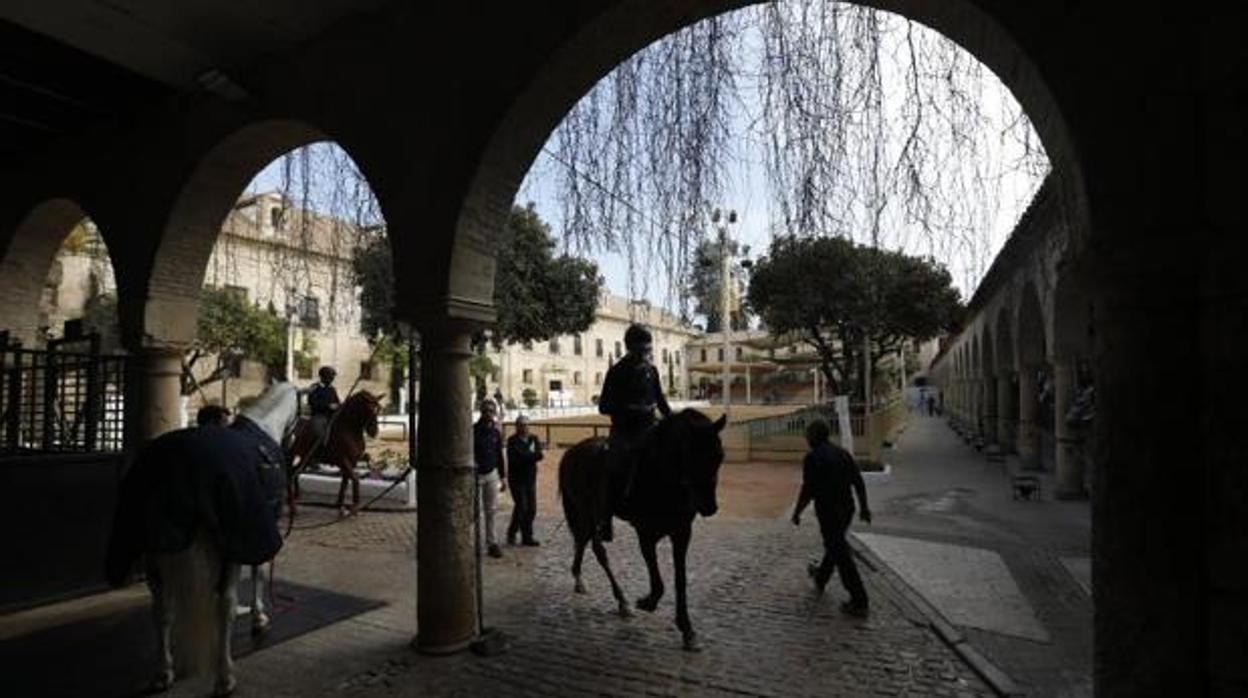 Una imagen de archivo de un acto en Caballerizas Reales