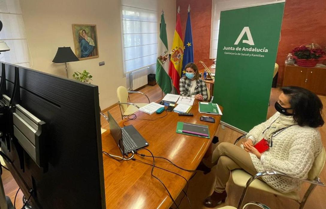 Reunión telemática de la delegada de Salud en Jaén, Trinidad Rus, con los alcaldes de la provincia