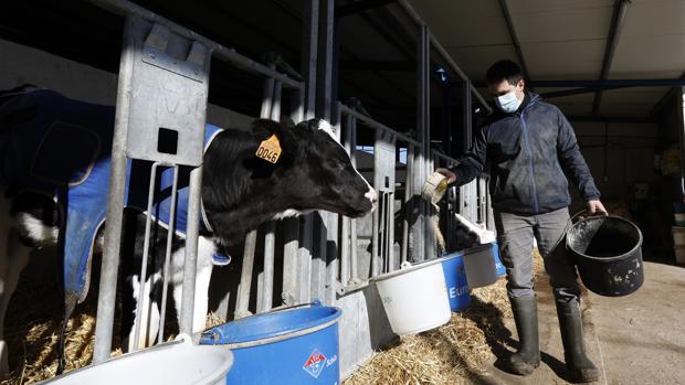 Pequeños y medianos agricultores y ganaderos de Córdoba, grandes beneficiados de la rebaja del IRPF