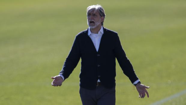 Córdoba CF | Pablo Alfaro: «Berto González es un jugador que encaja en las características de la plantilla»