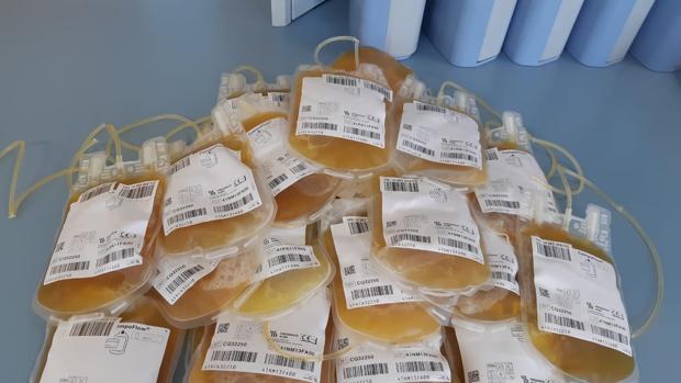 Más de 1.500 andaluces donan plasma hiperinmune al coronavirus para luchar contra la pandemia