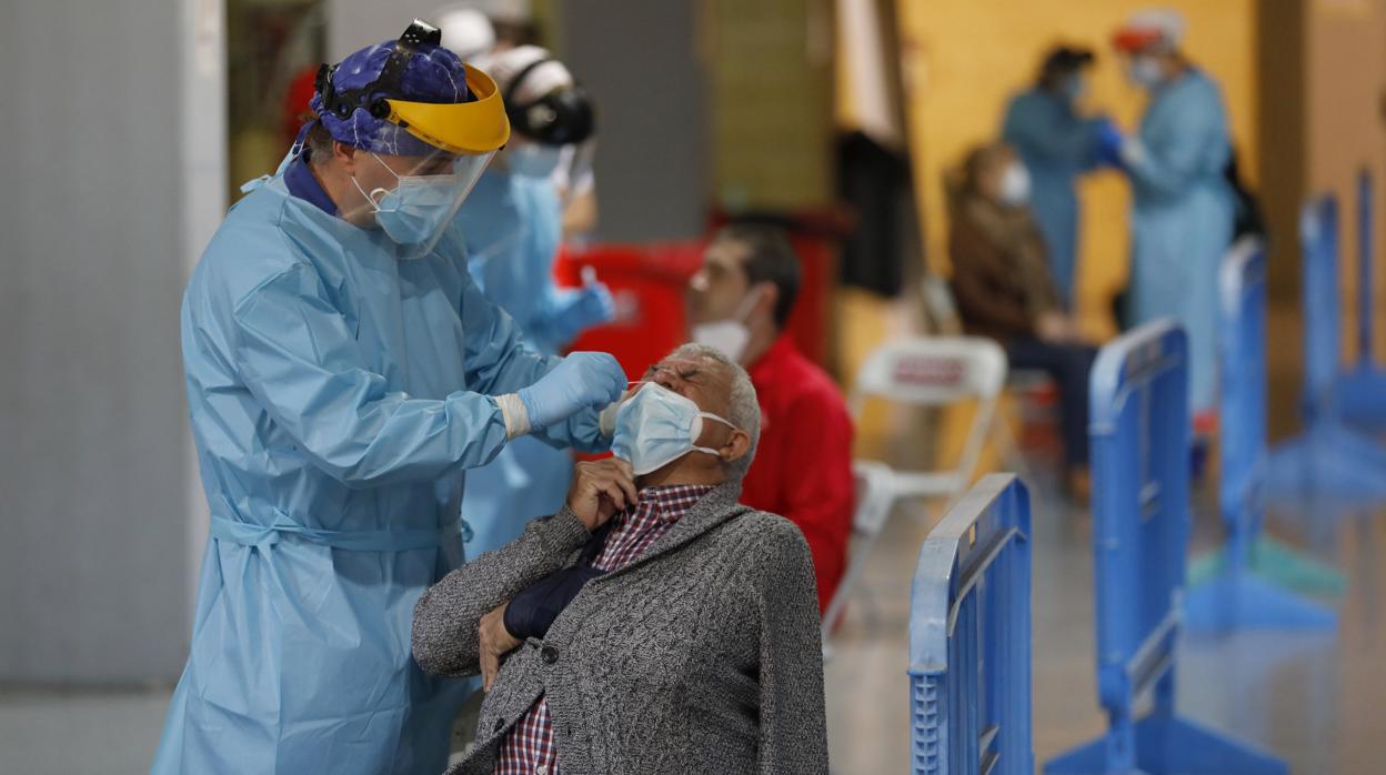 Un sanitario realiza una toma de muestras para un test en un cribado en Córdoba capital