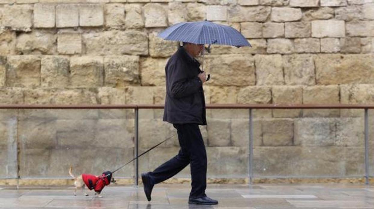 Un hombre paseando a su perro en una imagen de archivo