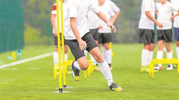 Escuelas para crear campeones en Andalucía