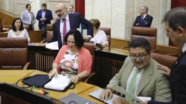 Los Anticapitalistas de Teresa Rodríguez compartirán despacho con el jefe de Falange en el Parlamento