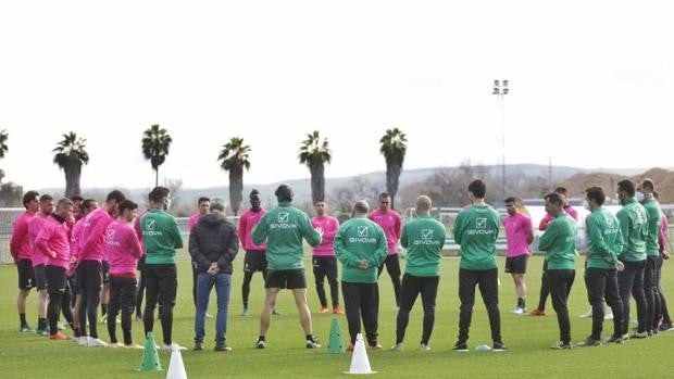 El Córdoba busca retomar su propia identidad ante el Linares Deportivo