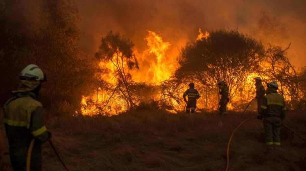 Los bomberos forestales del Infoca el pasado verano en un incendio en Córdoba