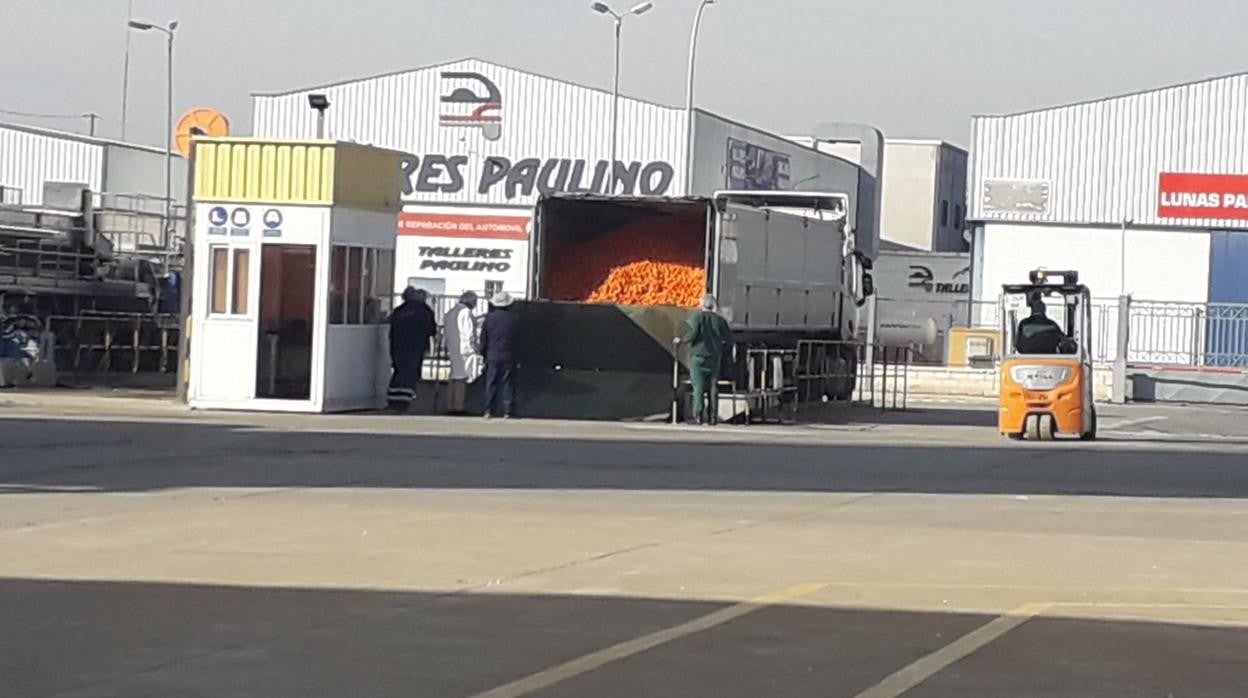 Camiones descargando mercancía en las instalaciones de la planta de Palma del Río