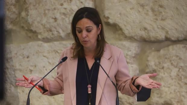 El PSOE denuncia que el Ayuntamiento de Córdoba tiene 17 millones en facturas sin pagar