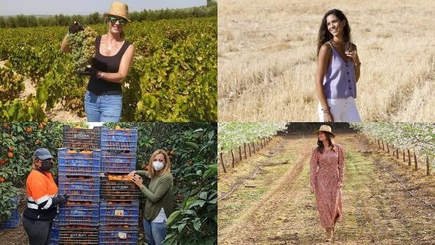 8-M en Córdoba | Cuatro mujeres empresarias y agricultoras que rompen el techo de cristal en el campo