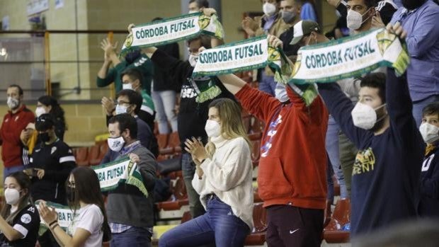 El Córdoba Patrimonio pone a la venta 400 entradas para recibir al Cartagena a 6 y 12 euros