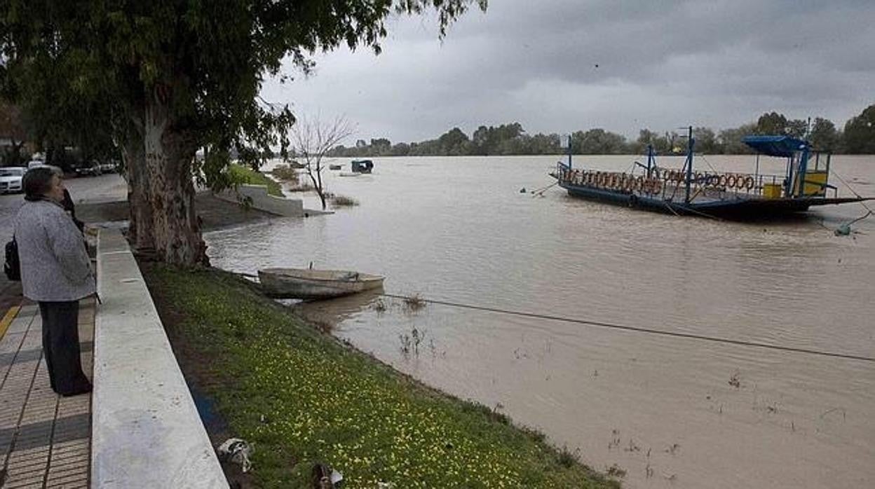 Río Guadalquivir a su paso por Coria