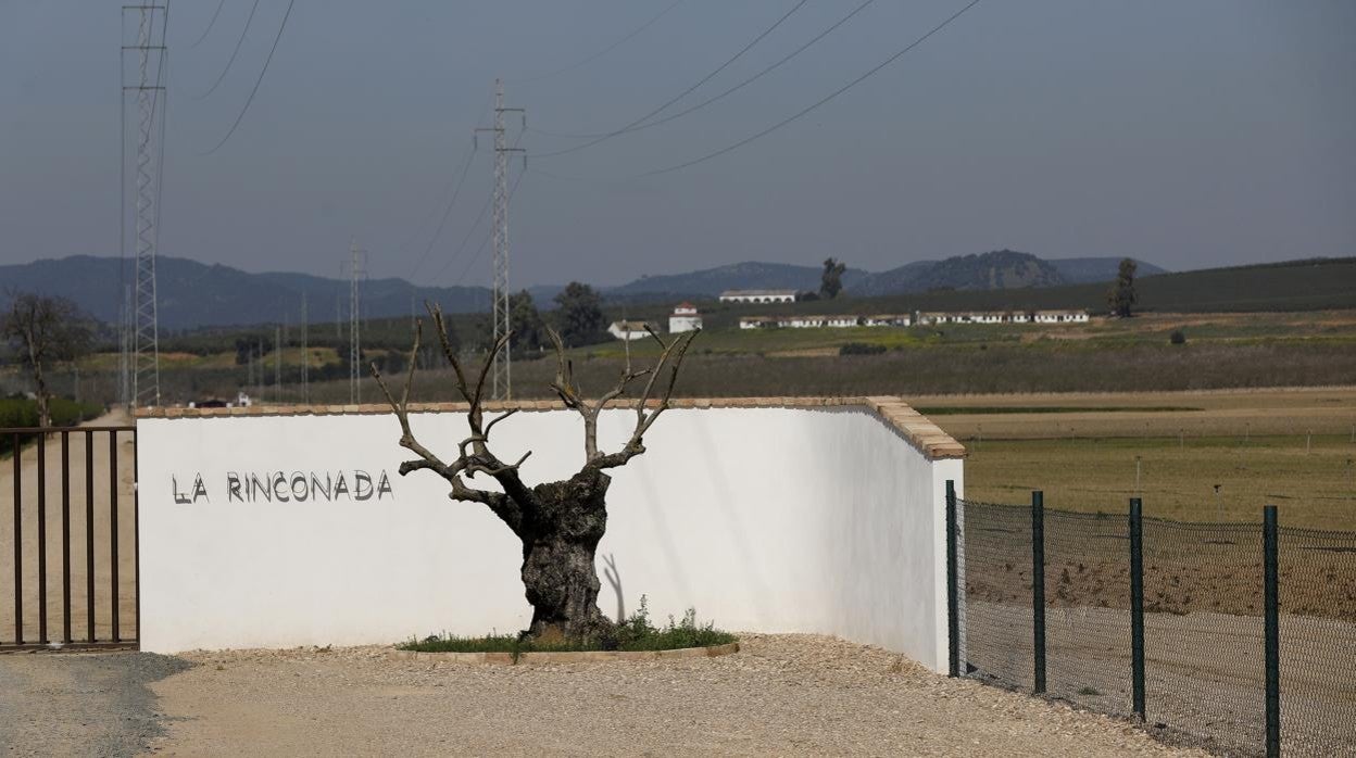 Terrenos de La Rinconada