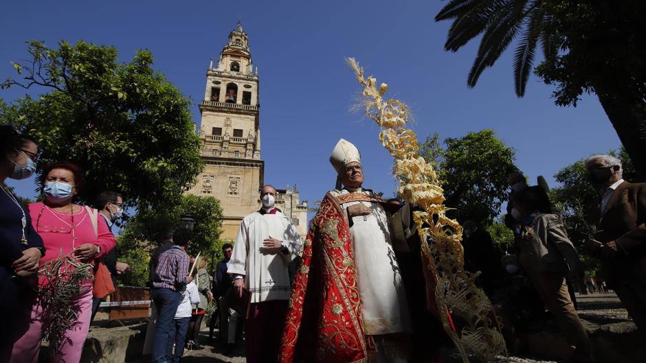 Semana Santa de Córdoba 2021 | El obispo invita a acudir a «la cruz bendita de Jesucristo»