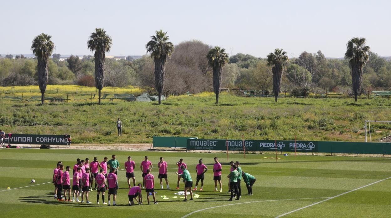 La plantilla del Córdoba CF se ejercita en marzo en la Ciudad Deportiva Rafael Gómez