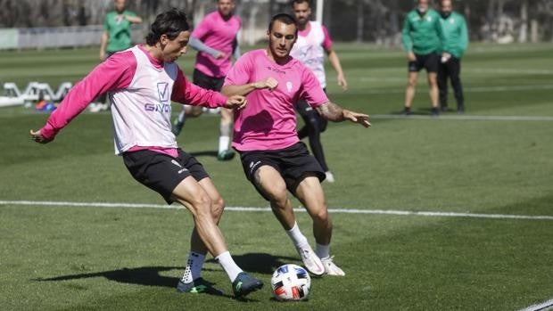 El Córdoba CF inicia la segunda fase ante el Tamaraceite con el objetivo de evitar la hecatombe