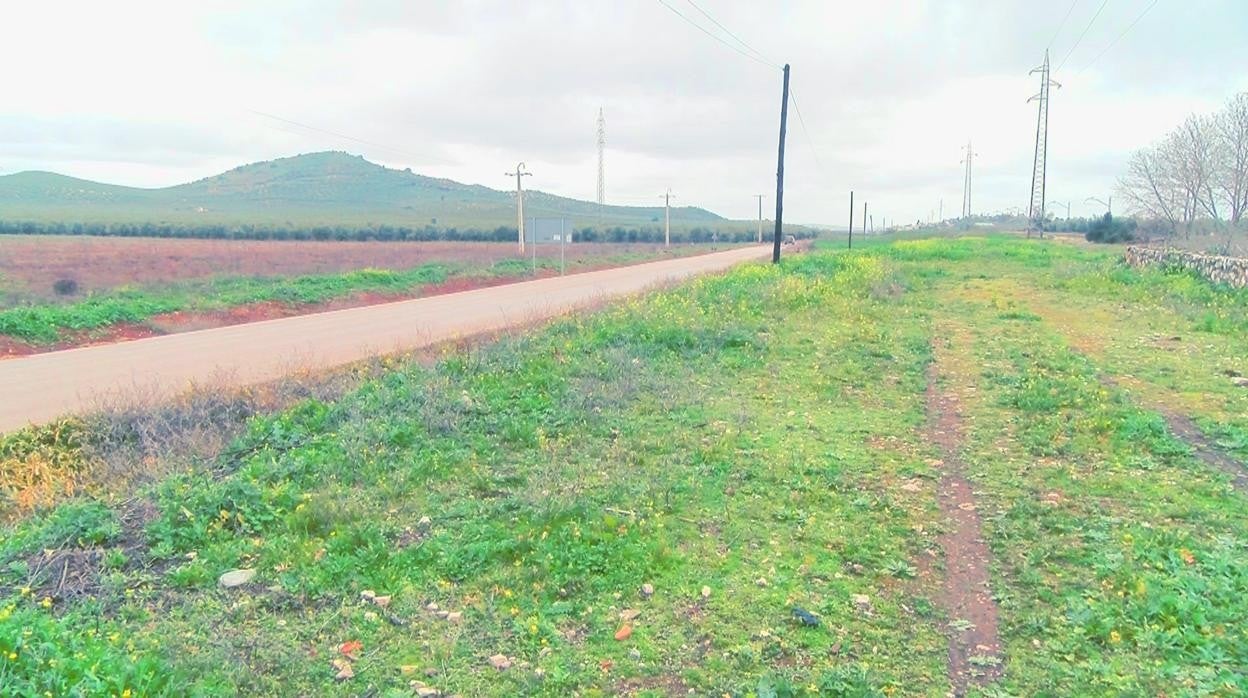 Terrenos donde se construirá la última planta solar autorizada en Puente Genil