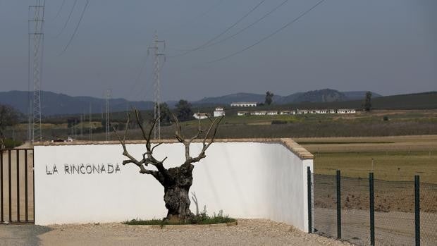 Base Logística del Ejército en Córdoba | La firma de los convenios para su impulso, antes del verano