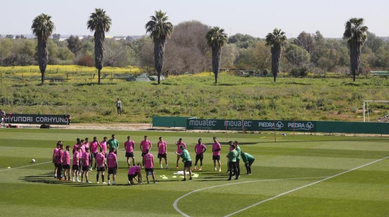 La plantilla del Córdoba CF durante un entrenamiento