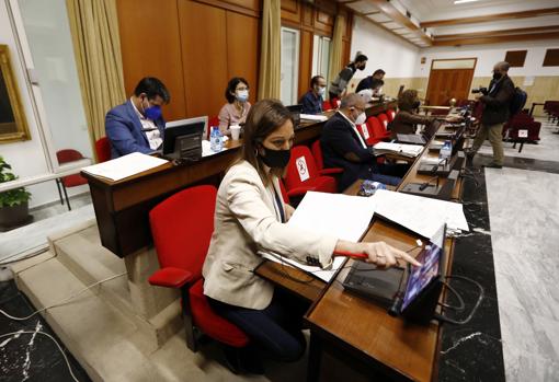 Isabel Ambrosio, en el Pleno