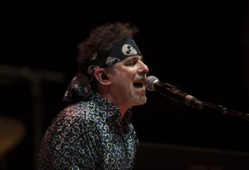 Andrés Calamaro, durante un concierto