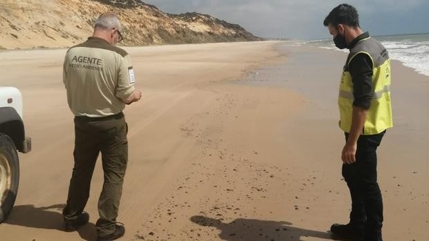 Emergencia en el litoral de Huelva por un vertido de hidrocarburo que alcanza la playa de Doñana