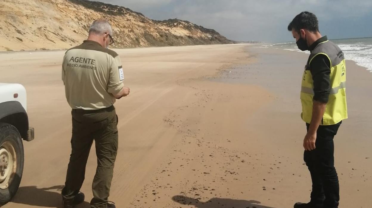 Agentes de Medio Ambiente en la zona de playa a la que han llegado los restos de hidrocarburo