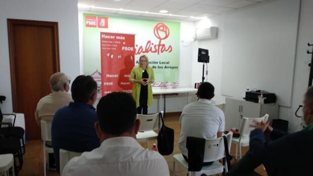 Los críticos del PSOE andaluz acusan a Susana Díaz de utilizar medios del partido para su «campaña» electoral