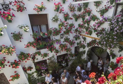 Todo lo que necesitas saber sobre el Festival de los Patios de Córdoba 2021