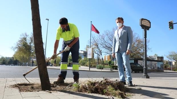 ¿Qué está pasando con algunas obras del Área de Infraestructuras? Bajo lupa, la avenida de Libia