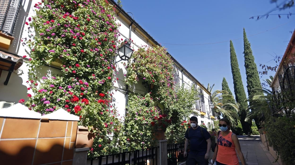 Rejas de la calle Manuel Soro participantes en el certamen del año pasado