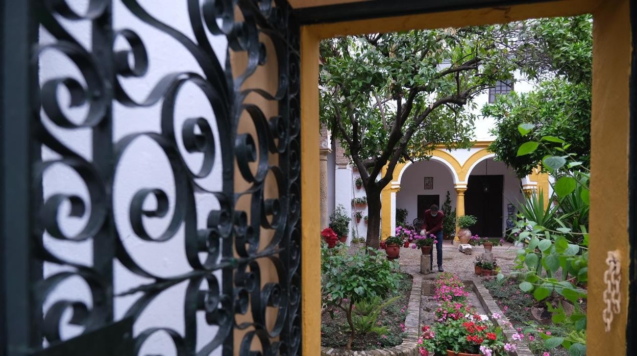 Preparativos en un patio de Córdoba esta semana