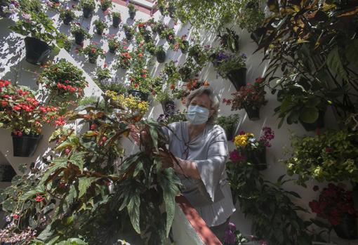 Una mujer cuida las plantas de su patio