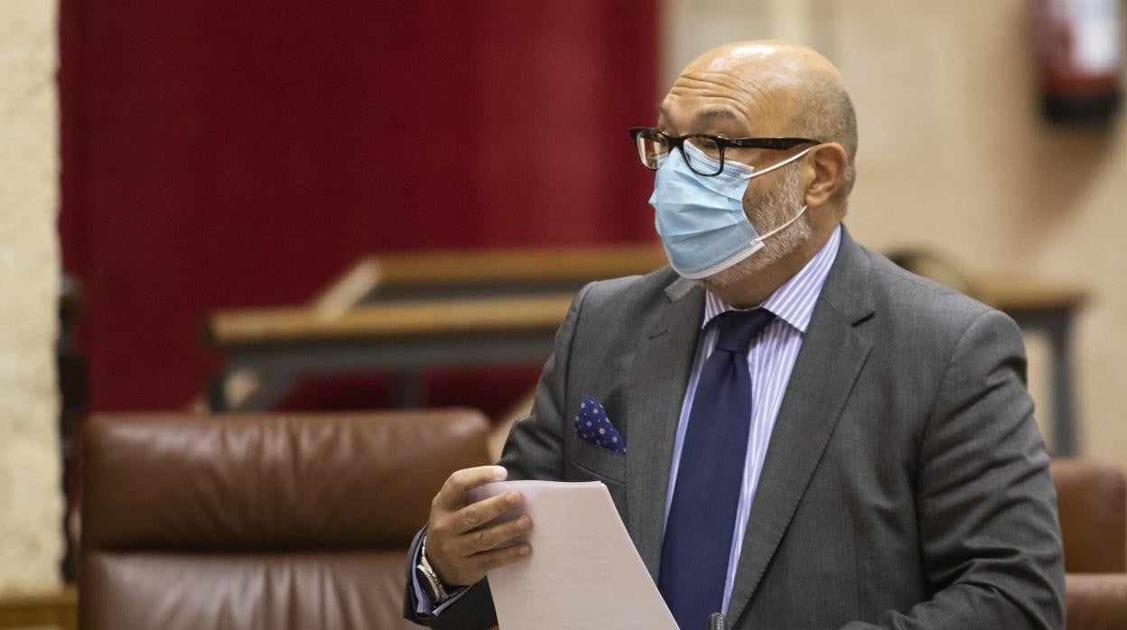 Alejandro Hernández, durante una comparecencia en el Parlamento andaluz