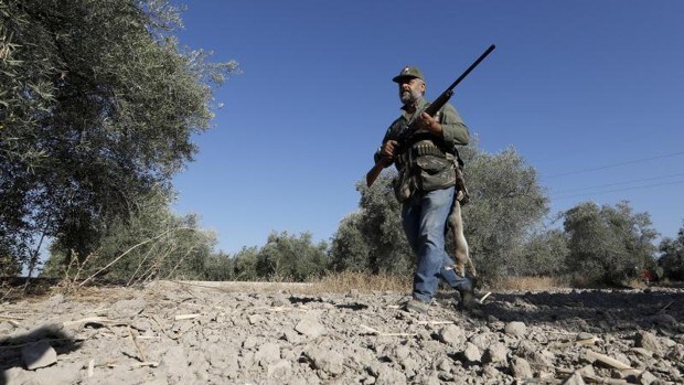 La Junta de Andalucía abre la oferta pública de caza en sus reservas y cotos gestionados