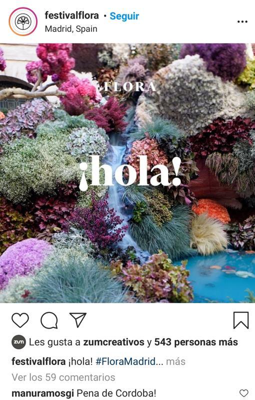 Captura de pantalla del perfil de Flora en Instagram