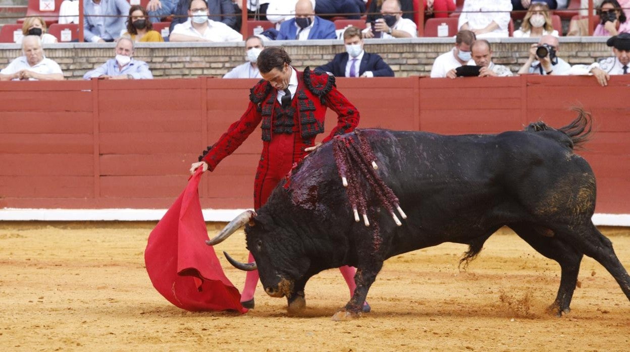 Finito, hoy en el Coso de los Califas durante la segunda corrida de la Feria de Córdoba