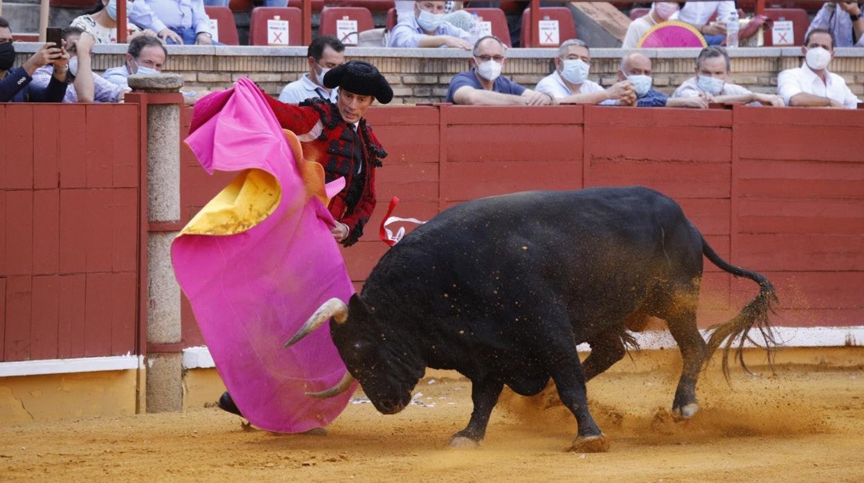 Finito de Córdoba, en un lance en la corrida de hoy en el Coso de los Califas