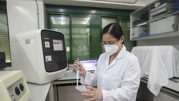 El análisis de las aguas residuales de Córdoba muestra un mayor rastro del Covid-19 que los datos oficiales