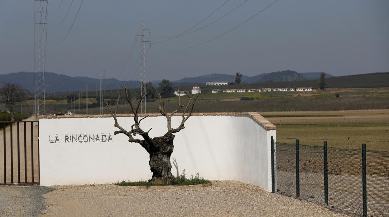 Accesos a La Rinconada